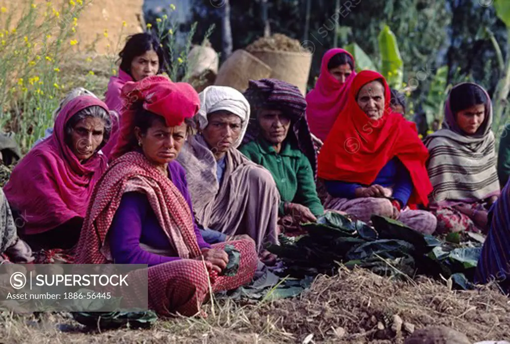NEPALI women - SIKLIS, NEPAL HIMALAYA village, NEPAL