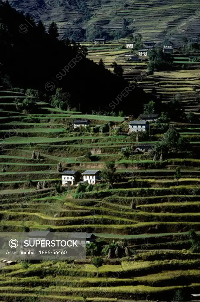 Terraced hillside with Nepali houses - SOLU REGION of NEPAL
