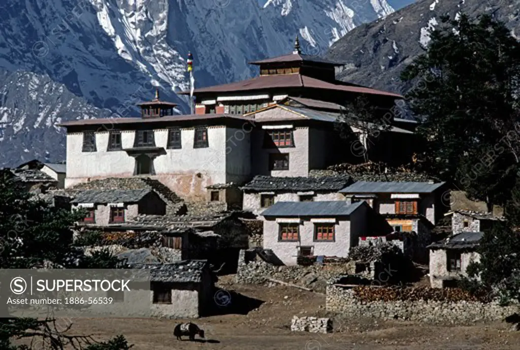 Thyangboche Monastery is the Sherpa's main religious & cultural center - This structure burned in 1989 & is being rebuilt - KHUMBU DISTRICT, NEPAL