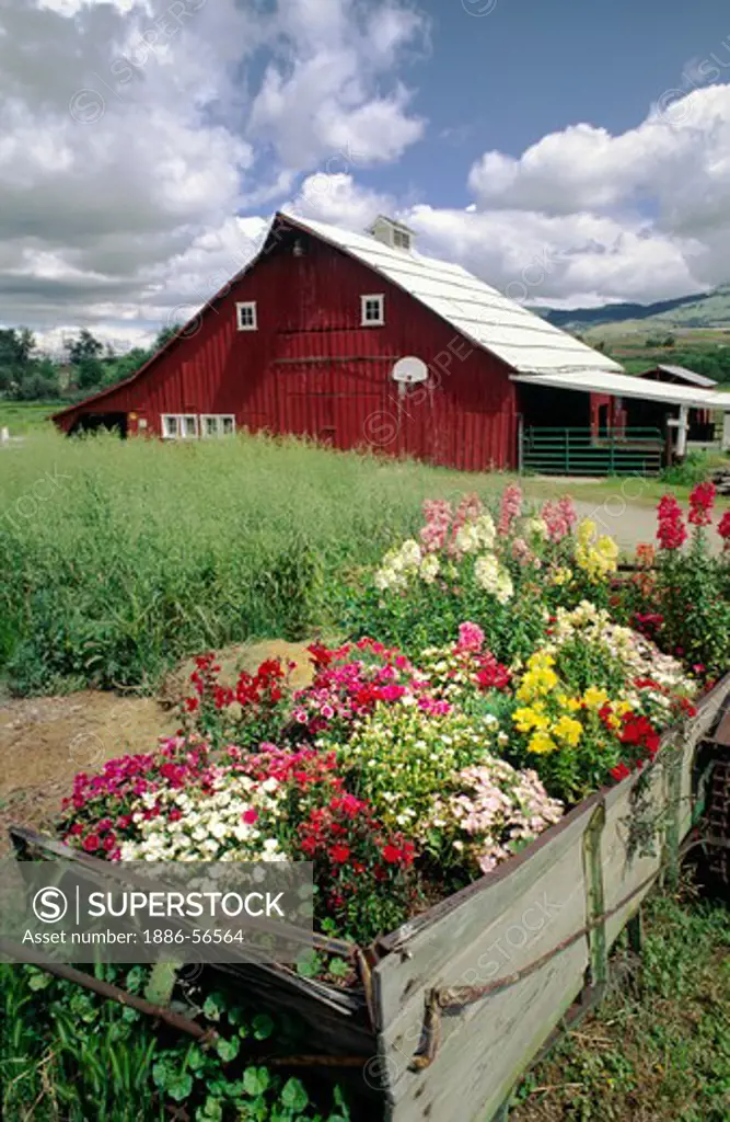 RED BARN & FLOWERS -  OREGON FARM