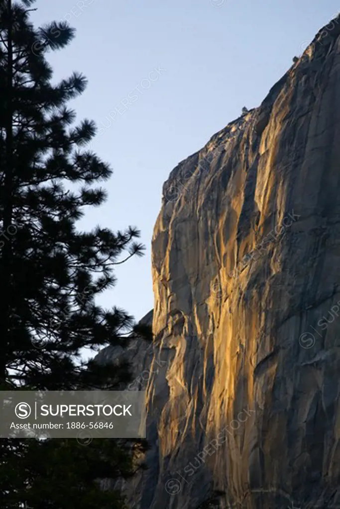 Sunset on EL CAPITAN in YOSEMITE VALLEY - YOSEMITE NATIONAL PARK, CALIFORNIA