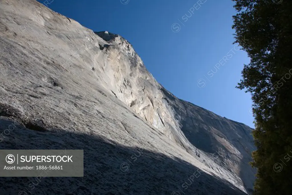 Looking up from the base of EL CAPITAN in YOSEMITE VALLEY - YOSEMITE NATIONAL PARK, CALIFORNIA