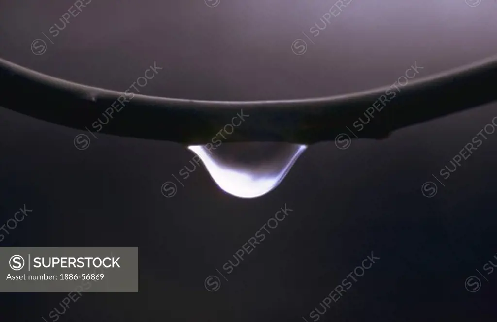 Water droplet on curved branch in fog.