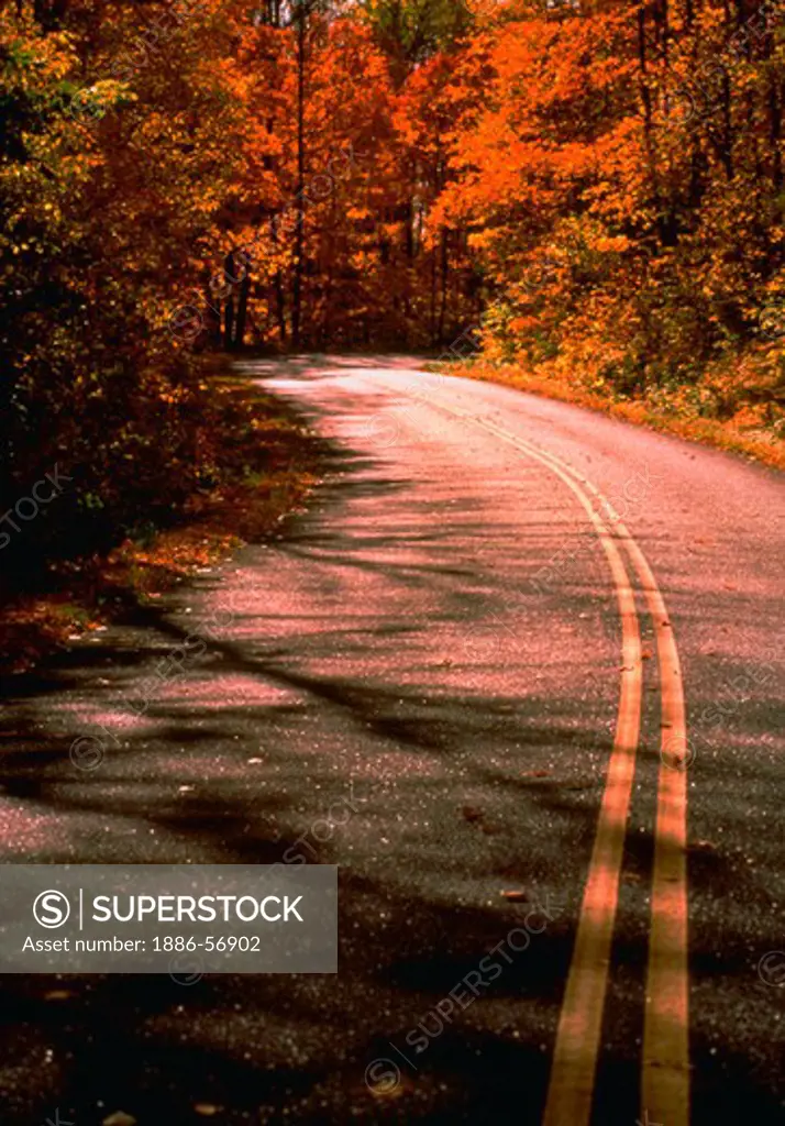Two-lane paved rural road in autumn