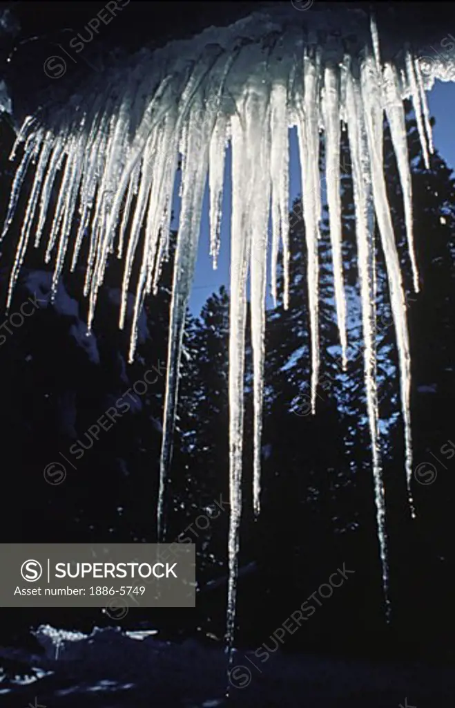 ICYCLES  hang from a cabin roof near Lake Tahoe - SIERRA NEVADA