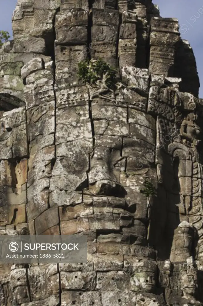 A strangler fig takes root in on a face tower gate of Ta Prohm, built by Jayavarman VII, part of the  Angkor Wat temple complex - Siem Reap, Cambodia   