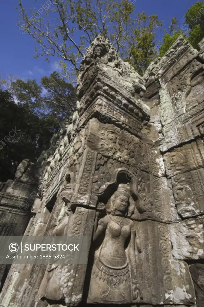 A stone carved bas relief of an Apsara (celestial mainden) at Ta Prohm; built by Jayavarman VII; part of Angkor - Siem Reap; Cambodia 