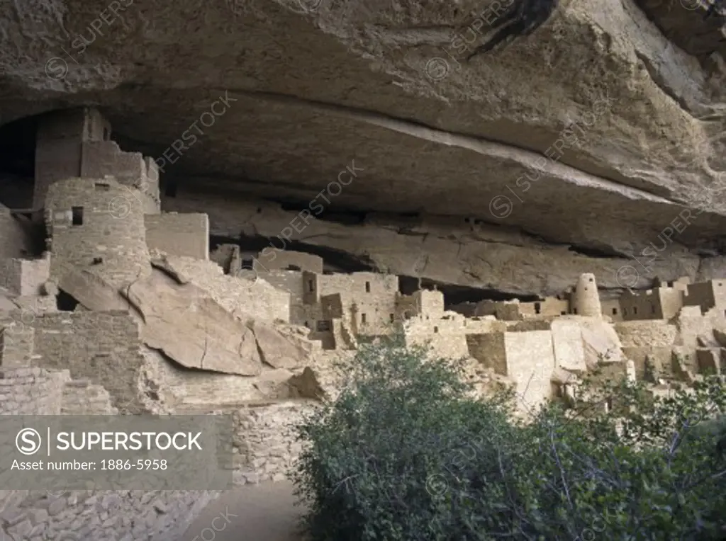 CLIFF PALACE is the most extensive ANASAZI ruin of MESA VERDE NP (1200 AD) 