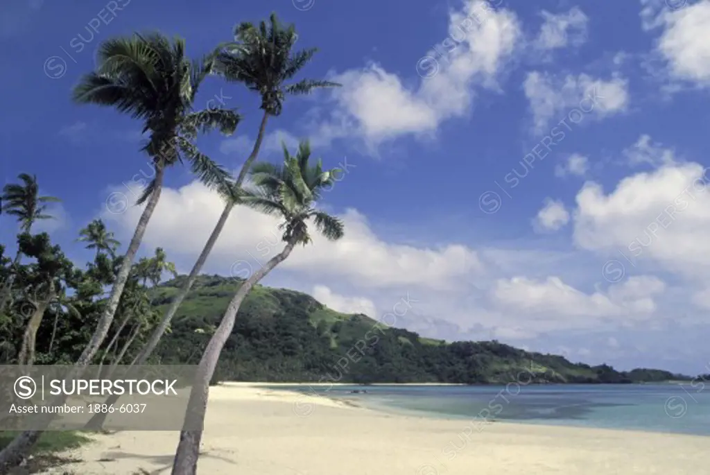 TROPICAL BEACH with WHITE SAND, PALM TREES, and TURQUOISE WATER on NACULA ISLAND - YASAWA ISLANDS, FIJI