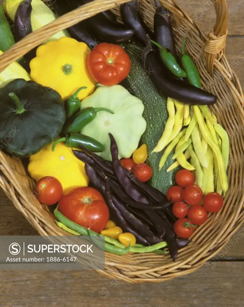 A basket of VEGETABLES - Tomatoes, yellow green Summer Squash, Zucchini, Egg Plant, Peppers, green, yellow & purple Beans 