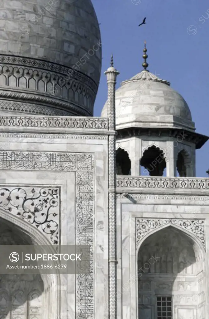 Detail of smaller domes of the TAJ MAHAL, built by emperor Shahjahan for his wife in 1653 - AGRA, INDIA 