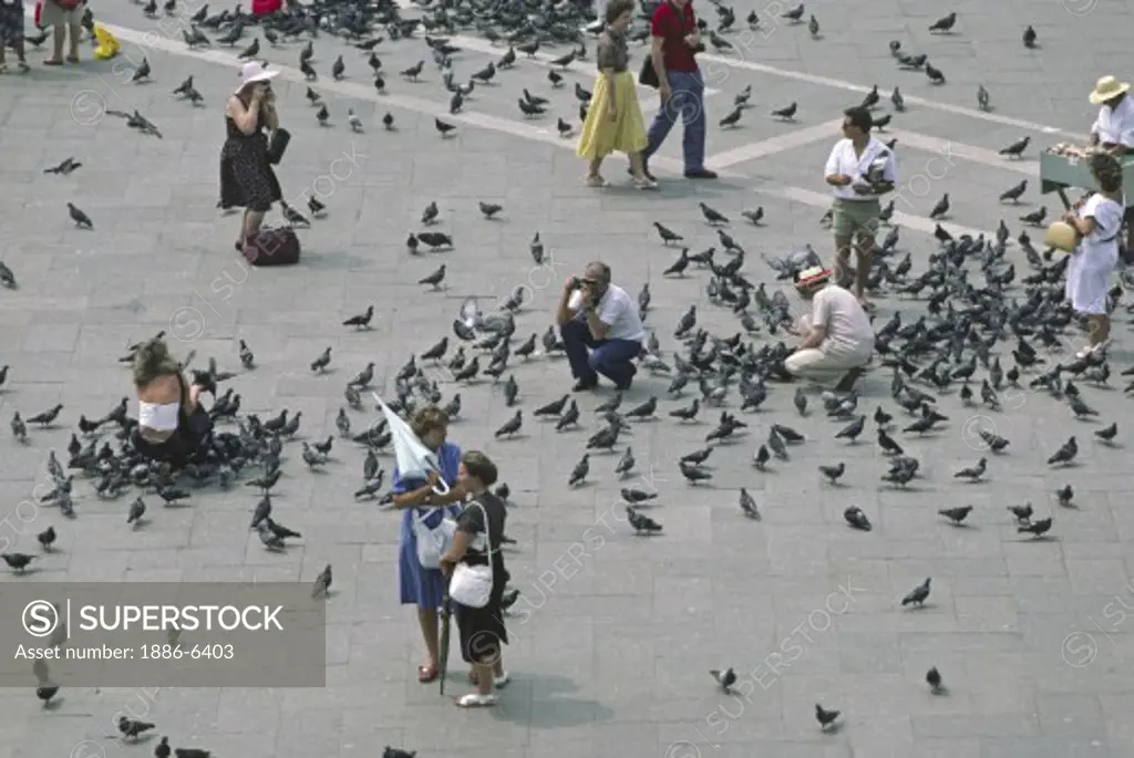 People & pigeons in the MAIN PLAZA of VENICE - ITALY