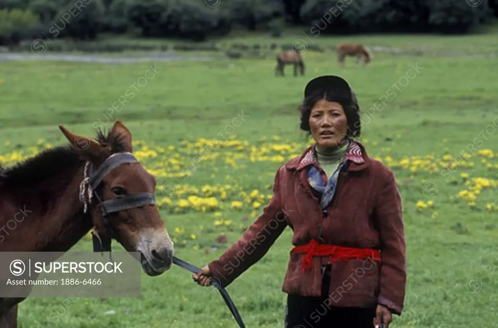 Woman with horse, Nyinteng Nature Reserve (Rigsum Gonpo or Dabpa Lhari), Kham - Sichuan Province, China, (Tibet)