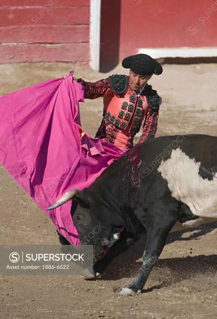 A MATADOR fights a bull in the Plaza de Toros - SAN MIGUEL DE ALLENDE, MEXICO   