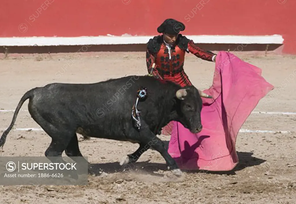 A MATADOR fights a bull in the Plaza de Toros - SAN MIGUEL DE ALLENDE, MEXICO   