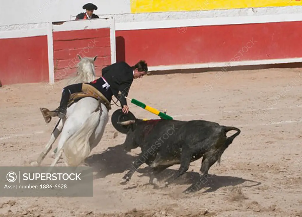 The picador RODOLFO BELLO does his work on horseback during a bull fight in the Plaza de Toros - SAN MIGUEL DE ALLENDE, MEXICO   
