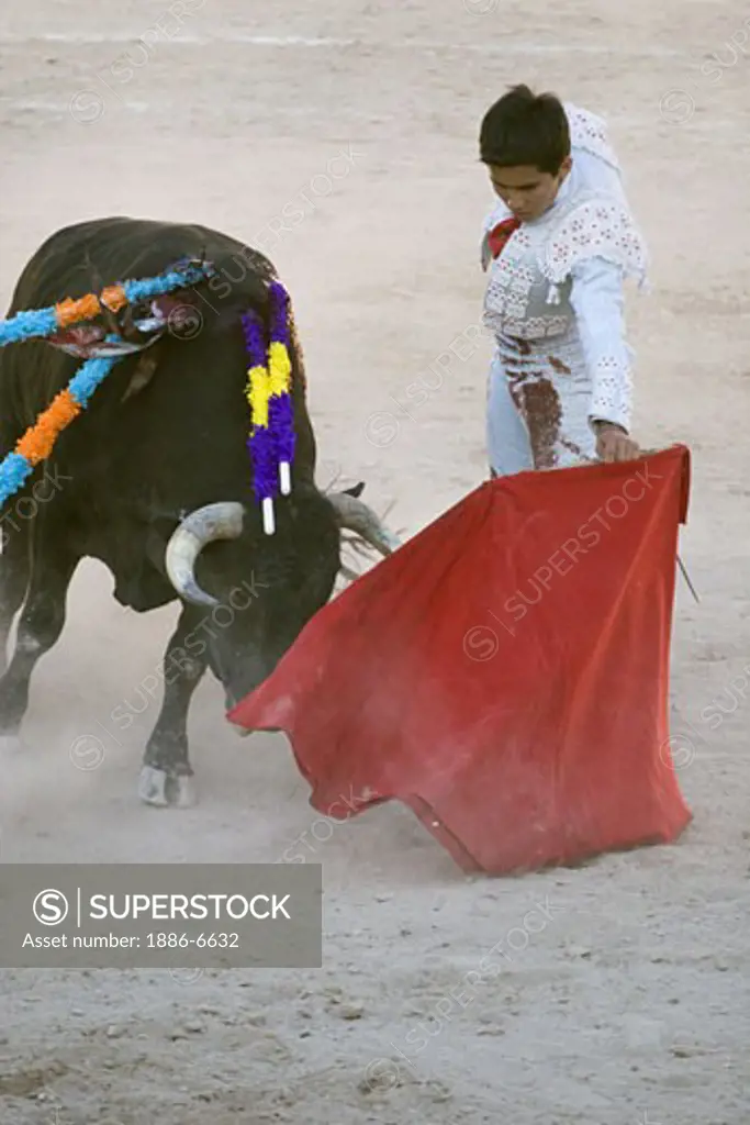The matador JUAN CHAVEZ fights a bull in the Plaza de Toros - SAN MIGUEL DE ALLENDE, MEXICO   