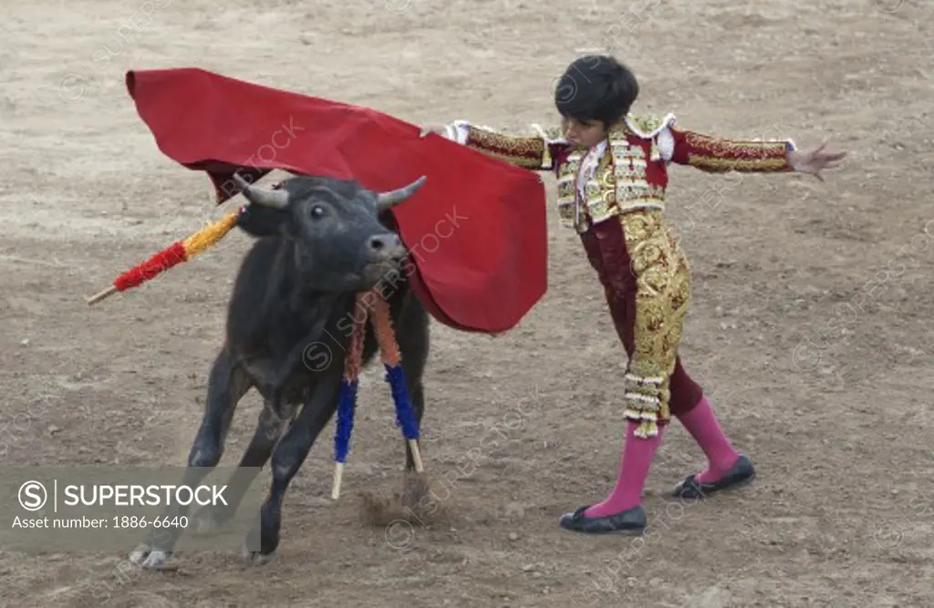 The 9 year old child matador RAFITA MIRABAL fights a bull in the Plaza de Toros - SAN MIGUEL DE ALLENDE, MEXICO   
