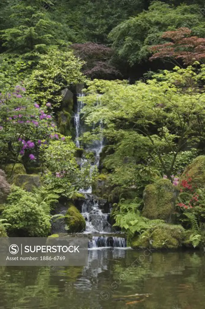 A waterfall in a Rhododendron forest at the Portland Japanese garden, considered the most authentic outside of Japan - PORTLAND, OREGON 