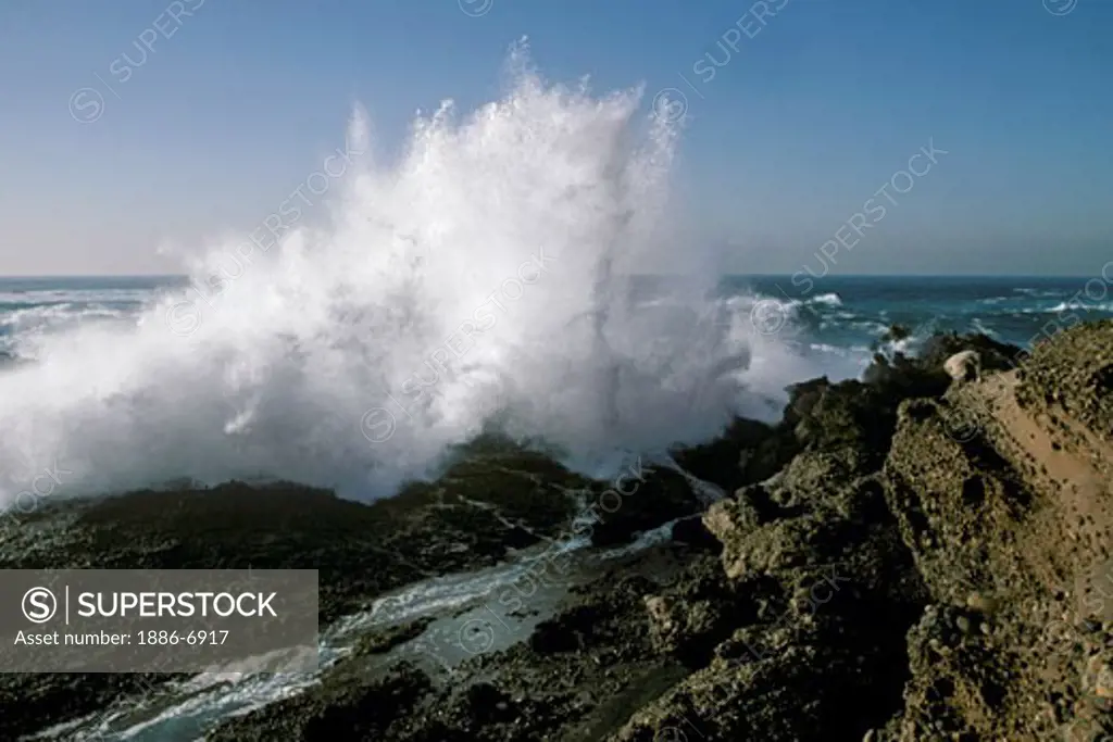 Giant winter storm WAVES hit the COASTLINE of POINT LOBOS STATE PARK - CALIFORNIA 