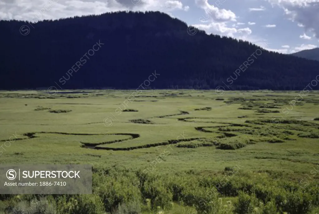VALLEY FLOOR with winding streams - WYOMING