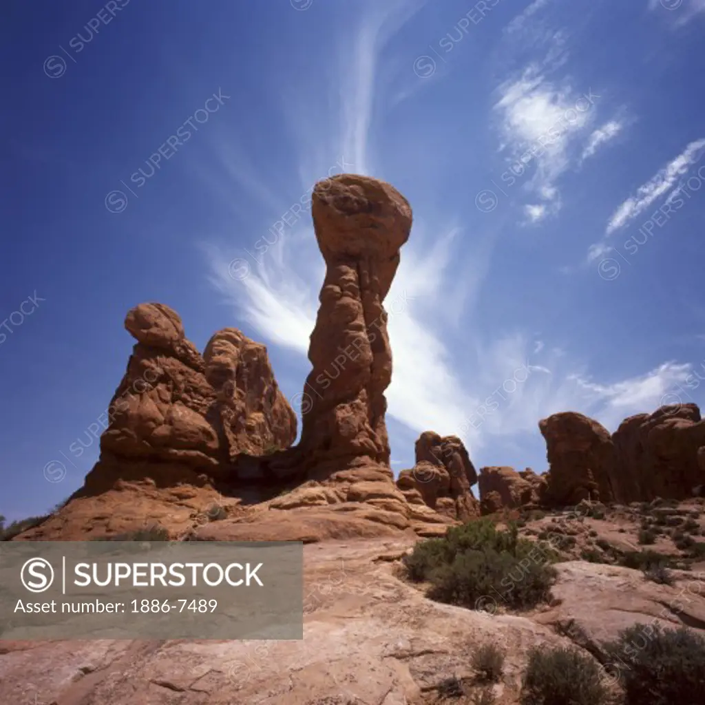 The surreal Sandstone Rock Formations in THE GARDEN OF EDEN - ARCHES NATIONAL PARK, UTAH 