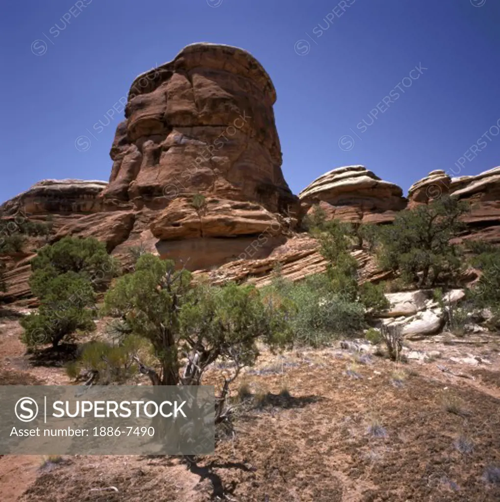 The surreal Sandstone Rock Formations in THE GARDEN OF EDEN - ARCHES NATIONAL PARK, UTAH 