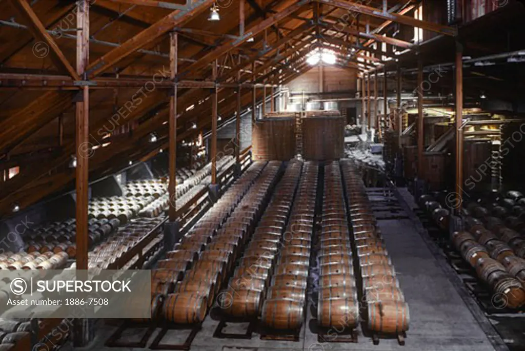 Oak wine barrels in the winery at FIRESTONE VINEYARD - CALIFORNIA
