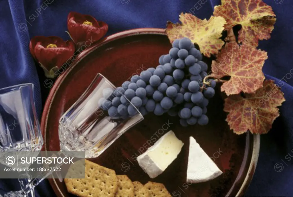 ZINFANDEL GRAPE CLUSTER with CRYSTAL WINE GLASS, BRIE and CRACKERS on BLUE VELVET