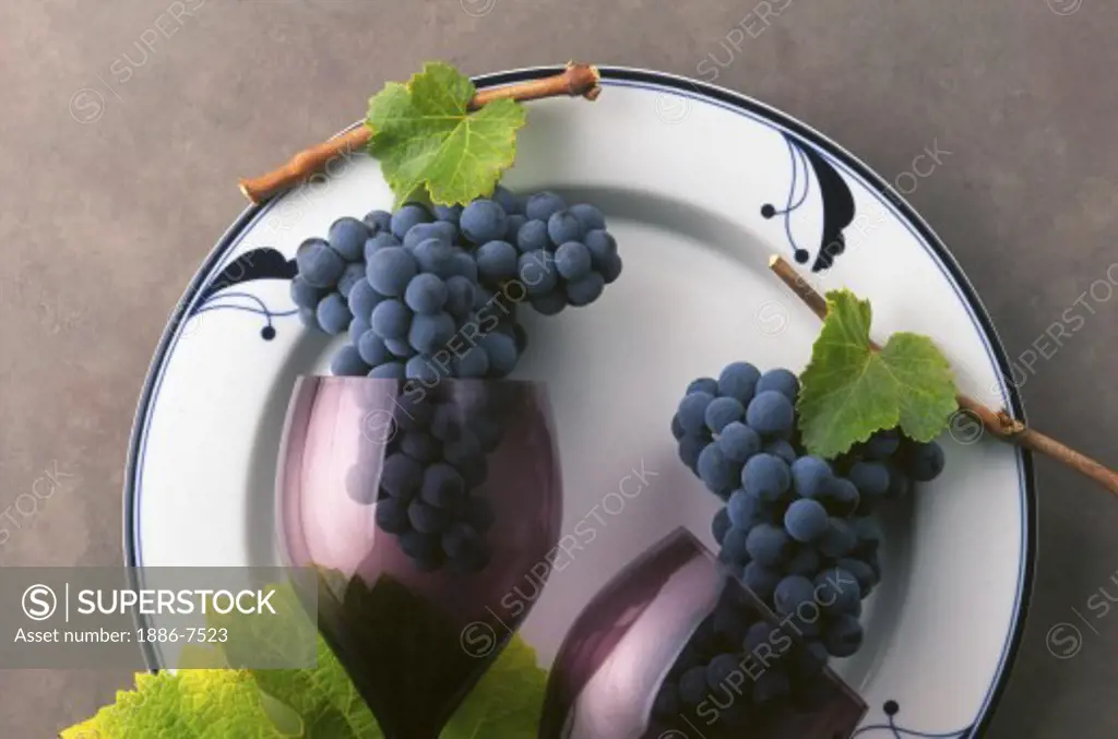 CABERNET GRAPE CLUSTER and LEAVES with BURGUNDY WINE GLASSES on WHITE PLATE 