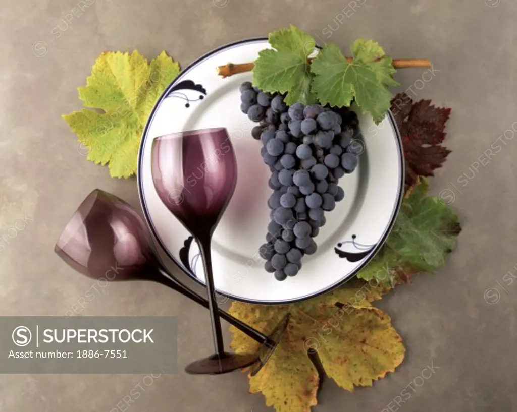 ZINFANDEL WINE GRAPES, LEAVES, and BURGUNDY WINE GLASSES on WHITE PLATE - WINE INDUSTRY