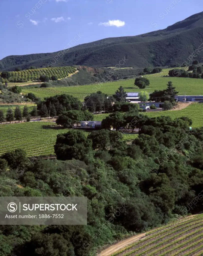 SMITH & HOOK/HAHN ESTATES VINEYARD & WINERY are located in the Santa Lucia Mnts. - CALIFORNIA 