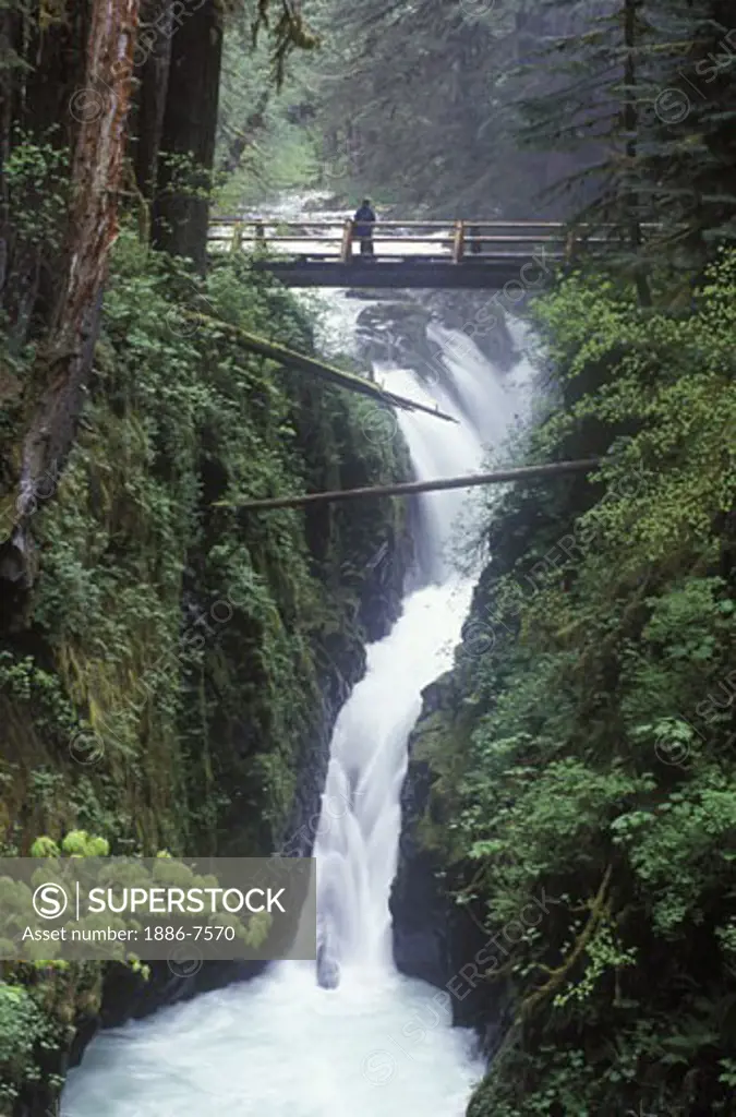 The famous SOLEDUCK FALLS can be reached in two miles from the end of the road in the SOL DUC VALLEY - OLYMPIC NP