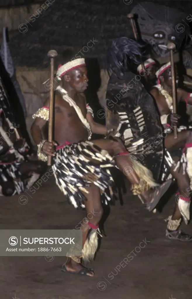An NDEBELE TRIBAL DANCER displays his fierceness & uses animal skins in his costume - ZIMBABWE