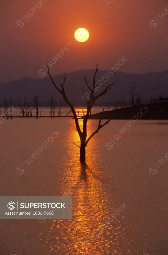 Sunset at LAKE KARIBA silhouettes trees which were flooded over 40 years ago - ZIMBABWE