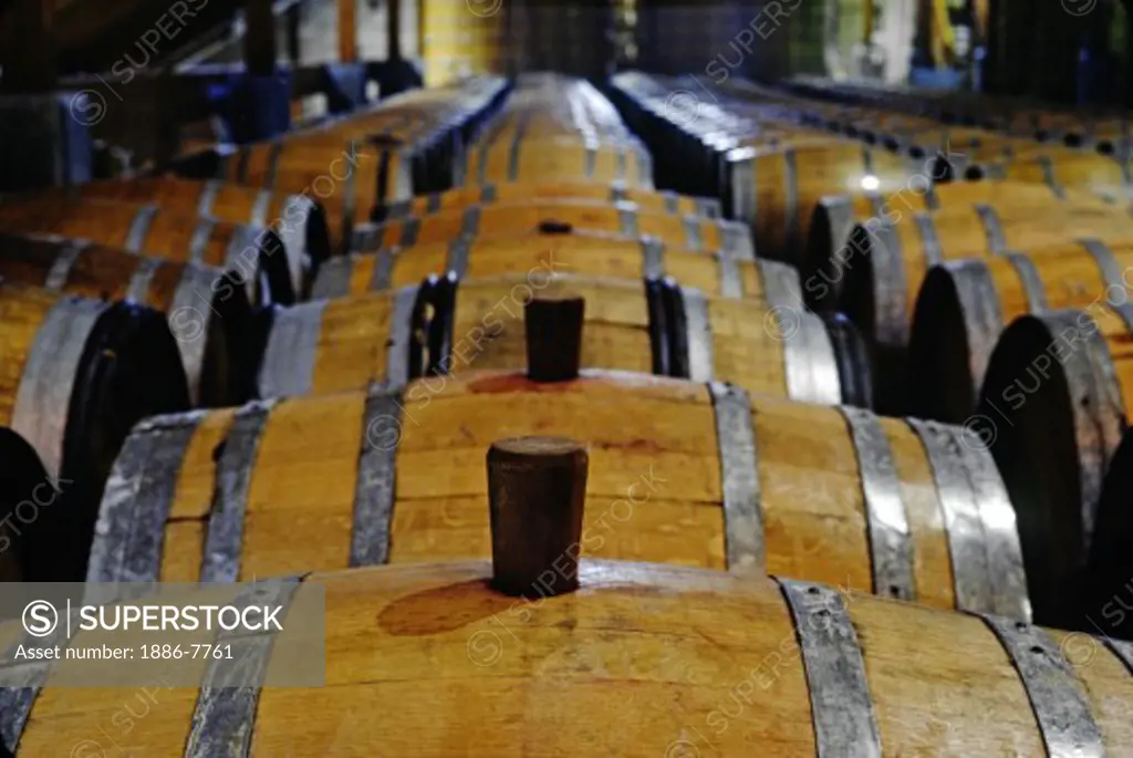 Overview of wine aging in OAK BARRELS at FIRESTONE VINEYARD - CALIFORNIA