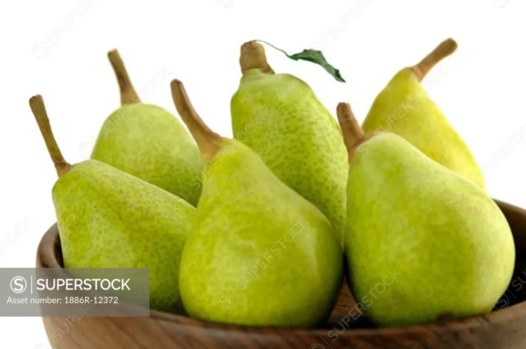 Fruit, six pieces Pear Pyrus Commiunis kept in plate with white background