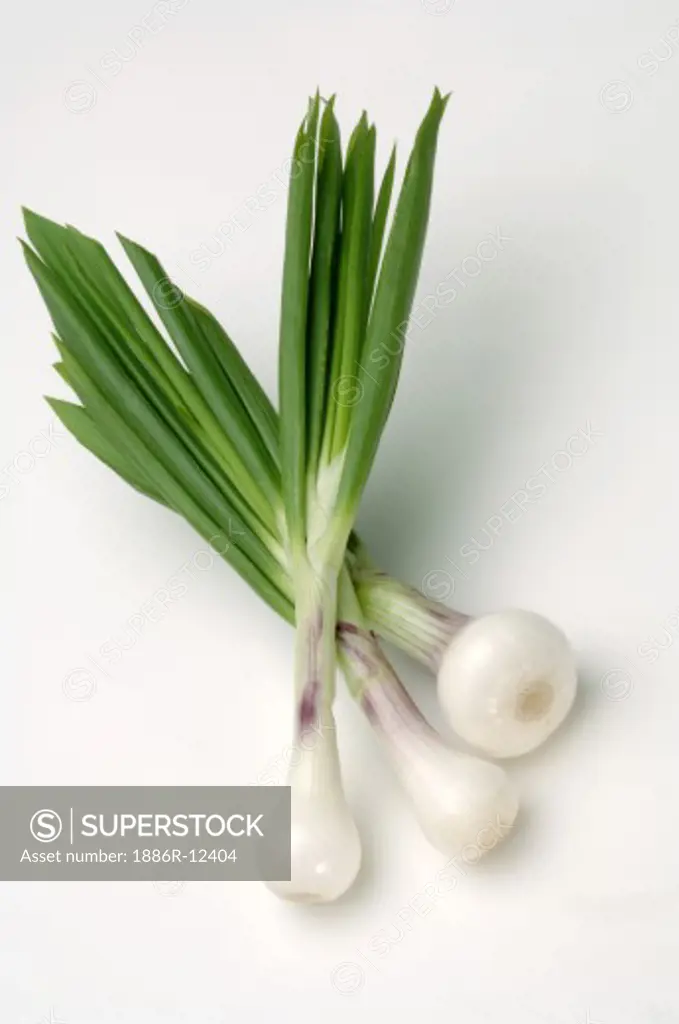 Vegetables, Two Green Leek, Law Onions Peas with white background