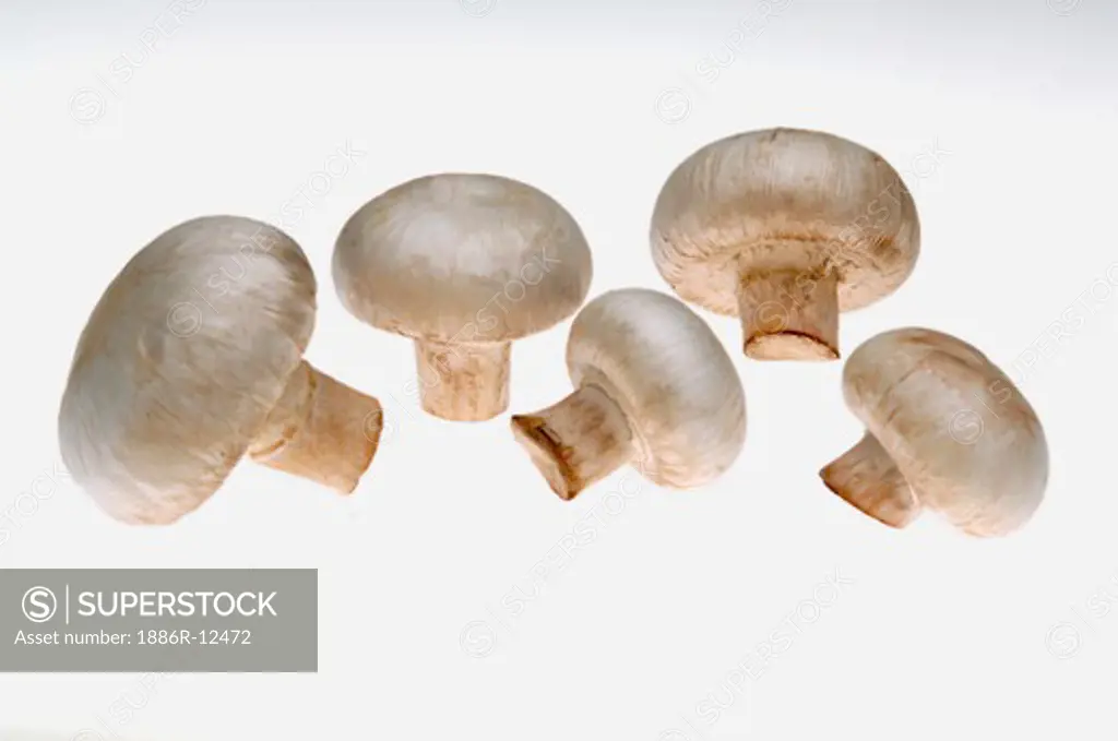 Vegetable, Five Mushrooms with white background