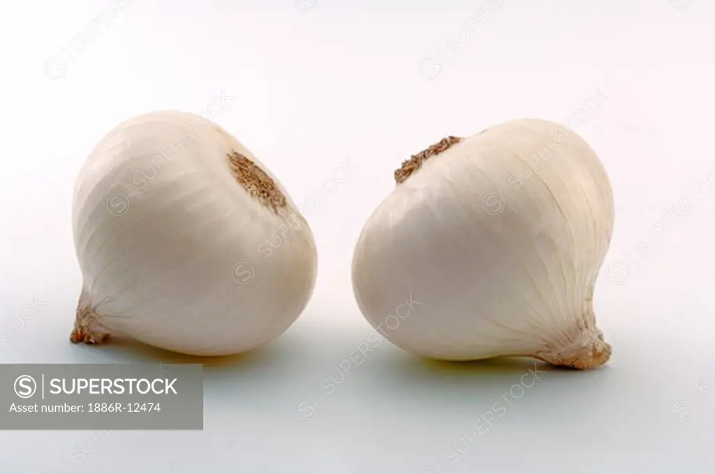Vegetable, Two White Onions with white background