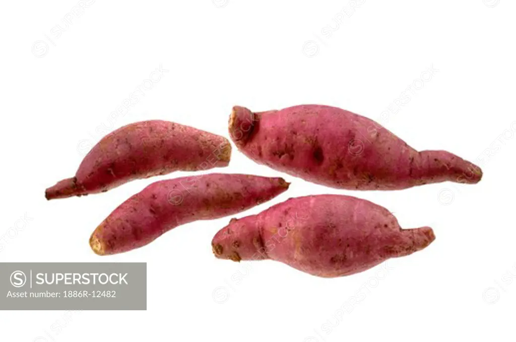 Vegetable, Five Sweet Potato with white background