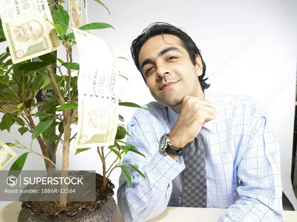 South Asian Indian executive sitting on chair money plant on desk