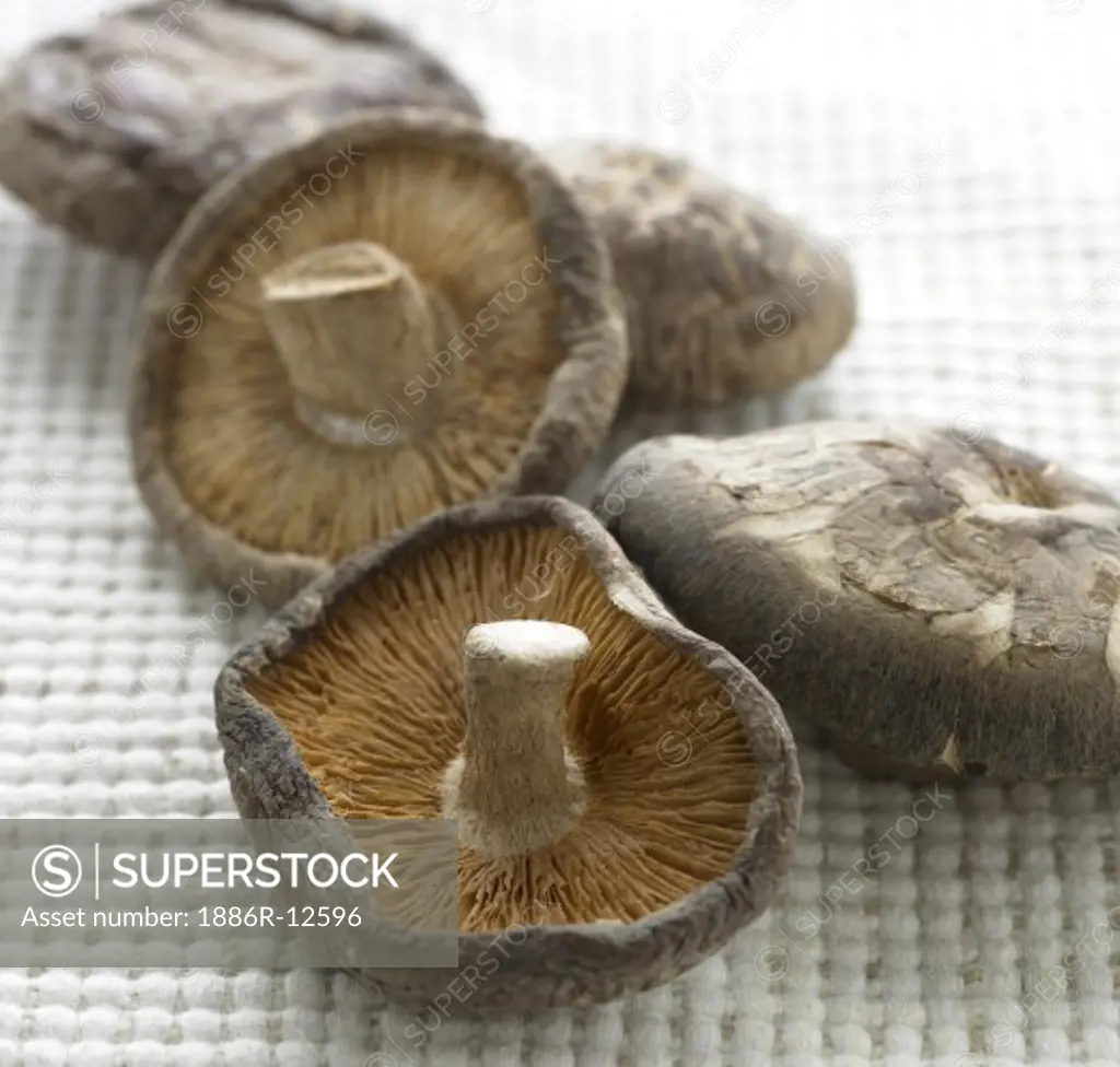 Vegetable ; ingredients ; mushrooms on white background