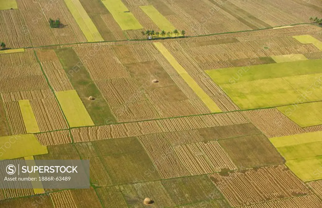 Aerial view of tilled field ; Andhra Pradesh ; India