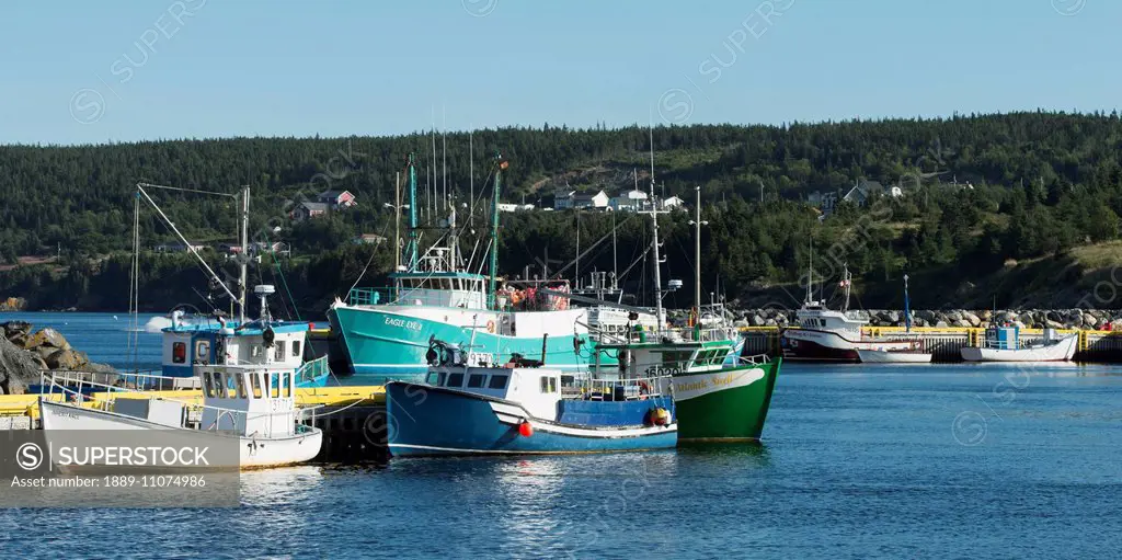 Bay Bulls Harbour; St. John's, Newfoundland and Labrador, Canada