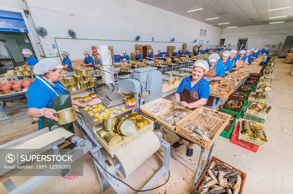 Women working in a fish factory; Tarifa, Cadiz, Andalusia, Spain