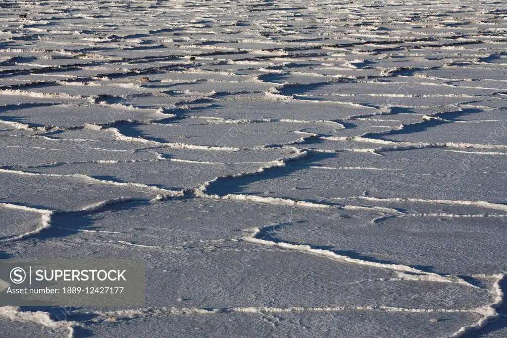 Salt Cells In The Salar De Uyuni, The World's Largest Salt Flat, Potosi Department, Bolivia