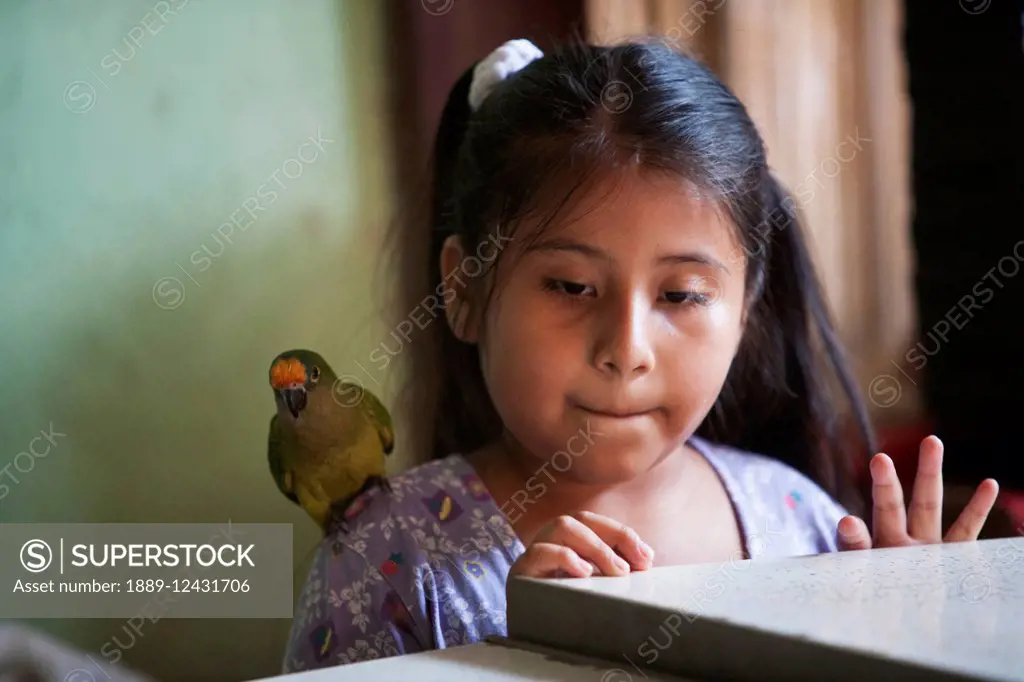 Girl With A Parakeet On Her Shoulder, Concepcion, Santa Cruz Department, Bolivia