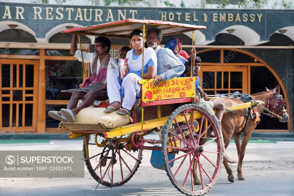 People On A Horse Cart, Bodhgaya, Bihar, India