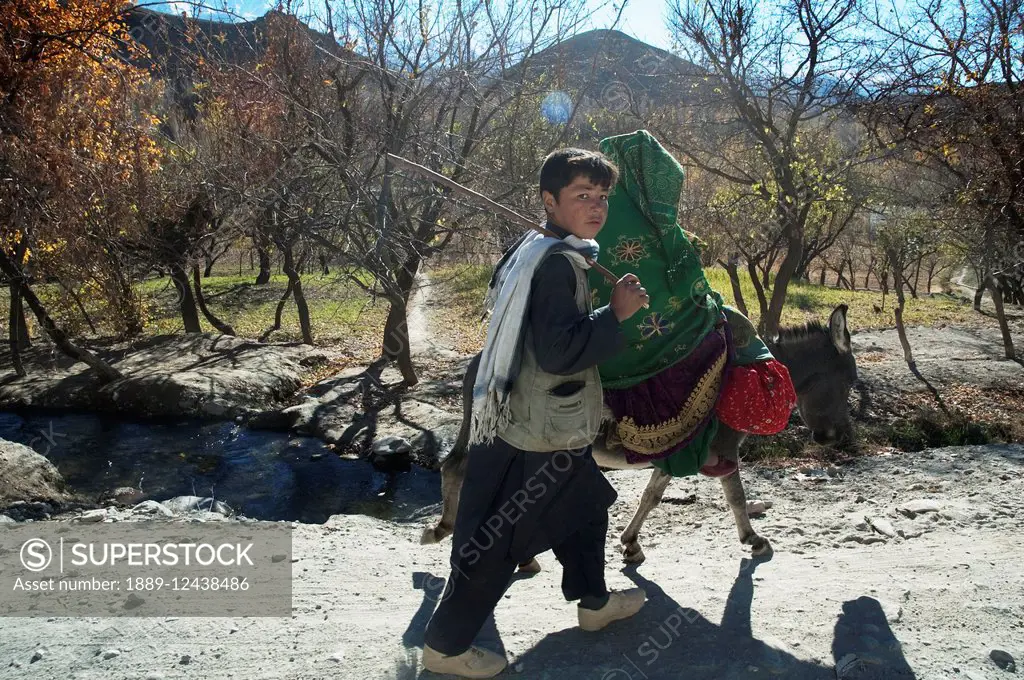 Afghan Boy Walking Next To A Woman Riding A Donkey Near Shekh Ali, Parwan Province, Afghanistan